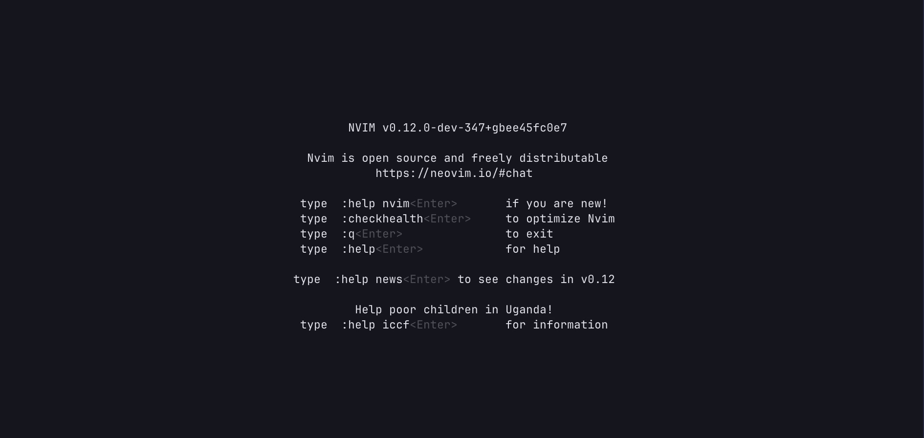 Neovim Screen without any config