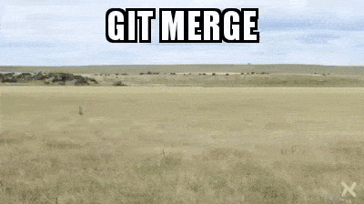 What Git Merge really feels like!